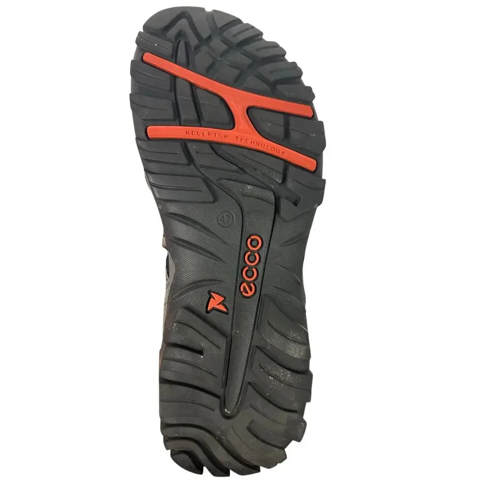 Ecco step into